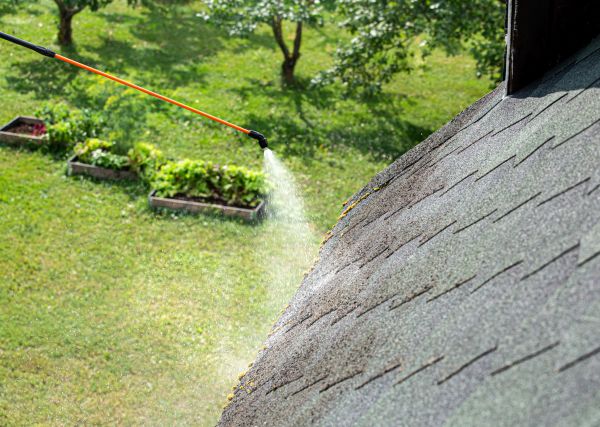 Professional Roof Algae Cleaning