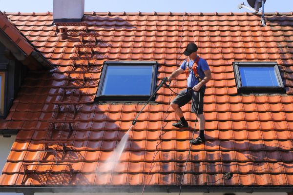 Professional Tile Roof Cleaning