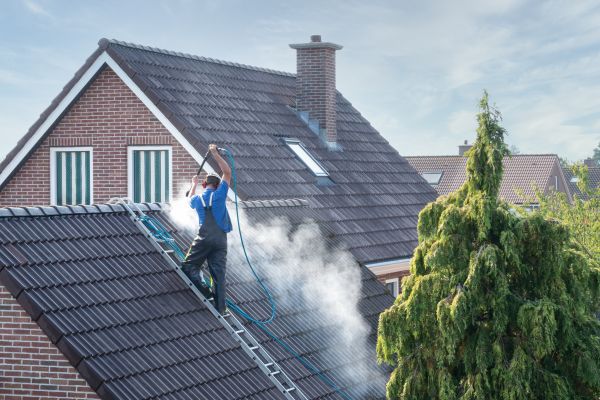 Professional Roof Washing Service
