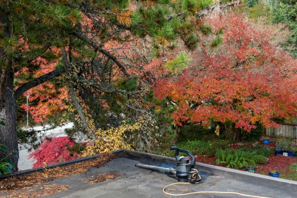Residential Flat Roof Cleaning