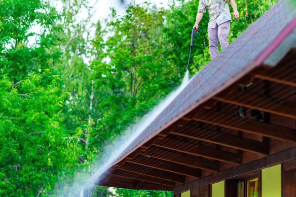 Asphalt Roof Washing
