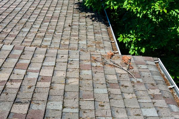 Professional Shingle Roof Cleaning
